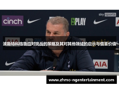 波斯特科格鲁应对挑战的策略及其对其他领域的启示与借鉴价值