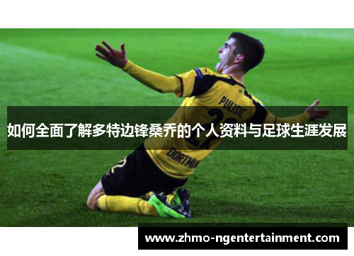 如何全面了解多特边锋桑乔的个人资料与足球生涯发展
