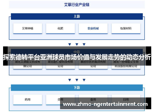 探索德转平台亚洲球员市场价值与发展走势的动态分析