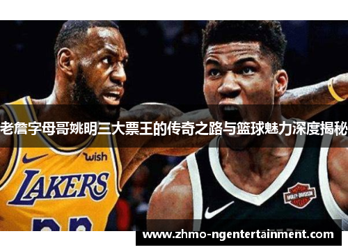 老詹字母哥姚明三大票王的传奇之路与篮球魅力深度揭秘