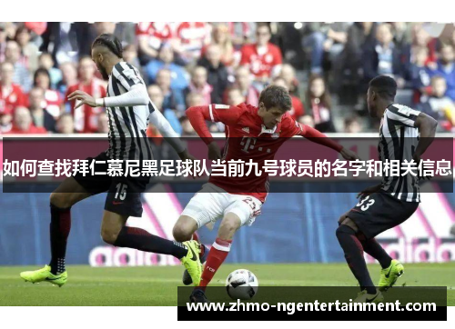 如何查找拜仁慕尼黑足球队当前九号球员的名字和相关信息