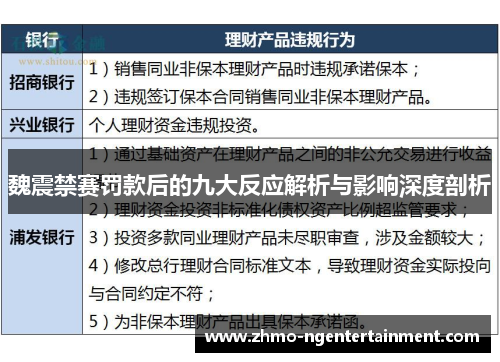 魏震禁赛罚款后的九大反应解析与影响深度剖析
