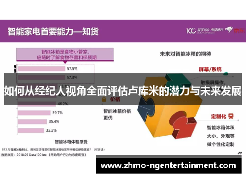 如何从经纪人视角全面评估卢库米的潜力与未来发展
