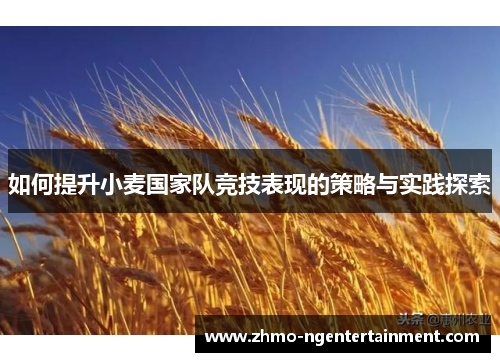 如何提升小麦国家队竞技表现的策略与实践探索