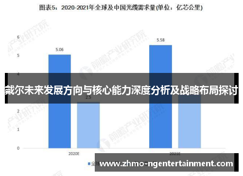戴尔未来发展方向与核心能力深度分析及战略布局探讨