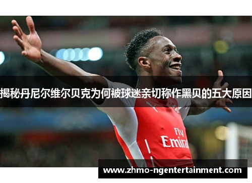 揭秘丹尼尔维尔贝克为何被球迷亲切称作黑贝的五大原因